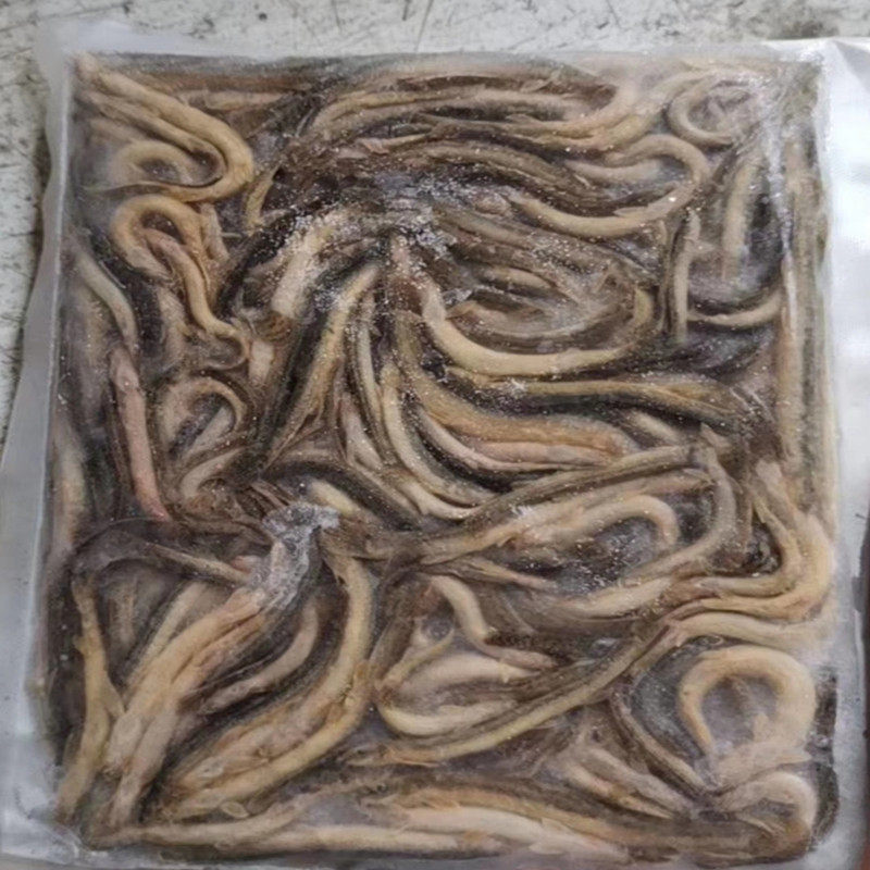 包邮龙鱼虎鱼魟鱼乌龟饲料冻泥鳅段河虾麦穗鱼食增色林蛙 5斤专拍