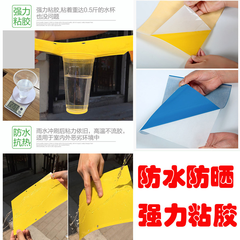 双面粘虫板诱虫板黄板蓝板大棚白粉虱蓟马果实蝇黏沾虫贴一箱包邮