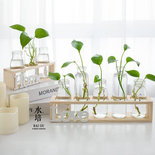 创意水培花瓶绿萝透明玻璃插花容器HOME家居餐客厅电视柜装饰摆件