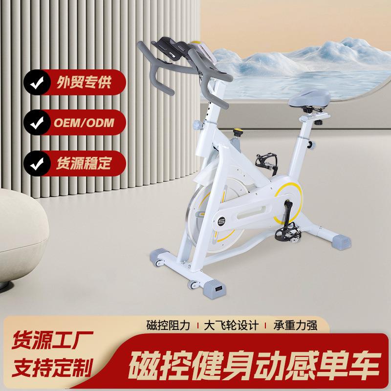 跨境健身静音磁控动感单车室内运动自行车运动器械锻炼家庭脚踏车