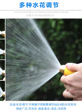 高压洗车水枪家用喷头软管冲洗带泵刷车四分水管直射水枪头家庭用