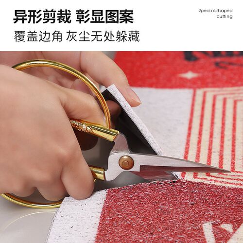 地垫入户进门大门口门垫防滑可裁剪丝圈脚垫室内玄关进户pvc地毯