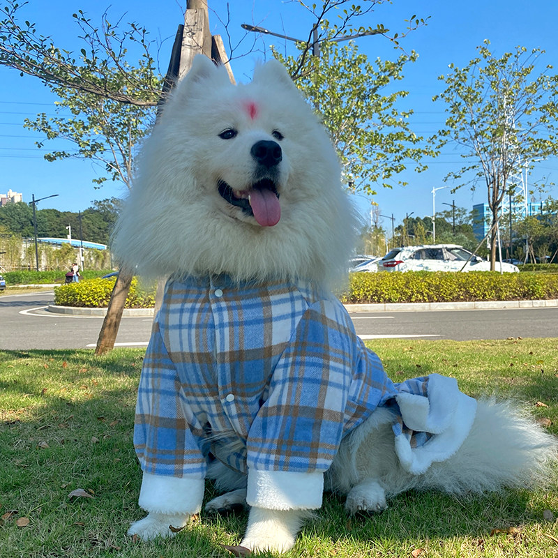 宠物狗狗冬季衣服公主彩条格子毛呢秋冬裙萨摩耶阿拉斯加双层保暖