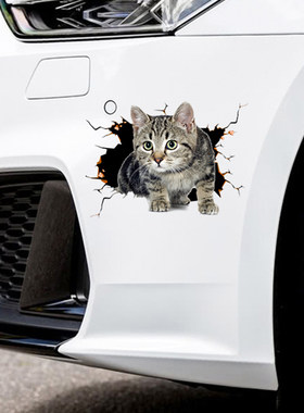 个性宠物猫咪3d立体车贴纸遮挡划痕遮盖车子刮痕贴画车身前杠防水