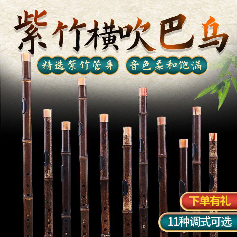 巴乌横吹紫竹乐器专业演奏c d e g a降b调儿童学生成人初学送教程