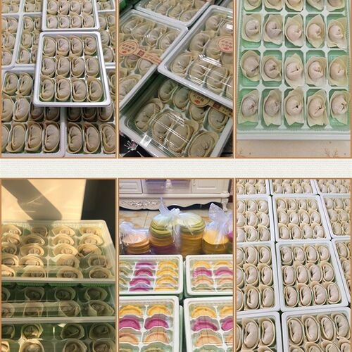 饺子盒一次性15 20格水饺盒打包外卖速冻饺盘快餐盒商用带盖分格