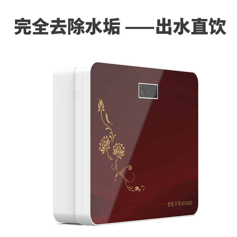 反渗透净水机家用直饮有桶自来水ro纯水机除垢除味井水微自吸智能