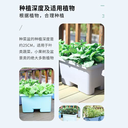 阳台种菜盆室内大号花盆种菜圣女果专用箱蔬菜种植箱家庭种菜神器