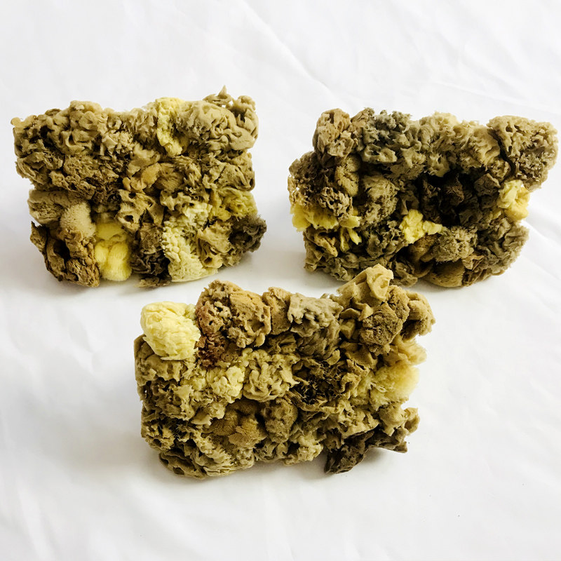 天然海藻绵拍三色珠光涂刷天然海藻拍艺术漆金箔拍花工具海藻棉刷