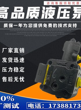 变量泵头液压油泵VUP-16 YBX-25 VPC-20液压叶片泵 VUP-23 凯利通