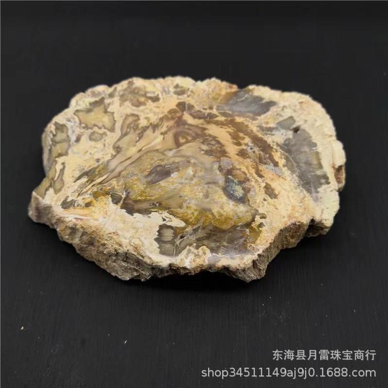 天然木化石切片木化玉原石玛瑙奇石杯垫风景片矿物标本摆件