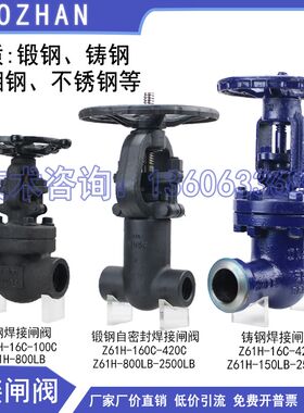 焊接闸阀Z61H-16C-420C J61Y-P54-16I-320I 16V-170V碳钢铬钼钢15