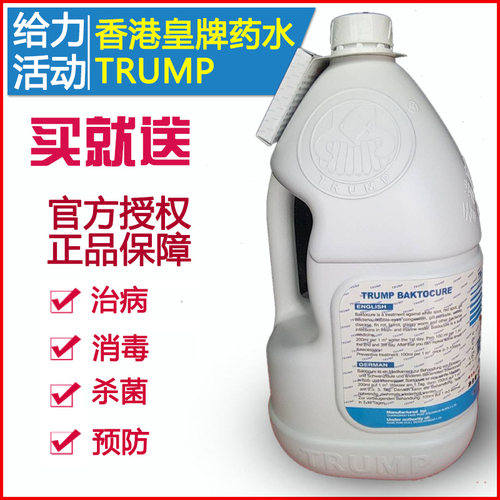 香港皇牌蓝宝液3.8L硝化细菌鱼缸净水杀菌水锦鲤池用TRUMP杀菌水