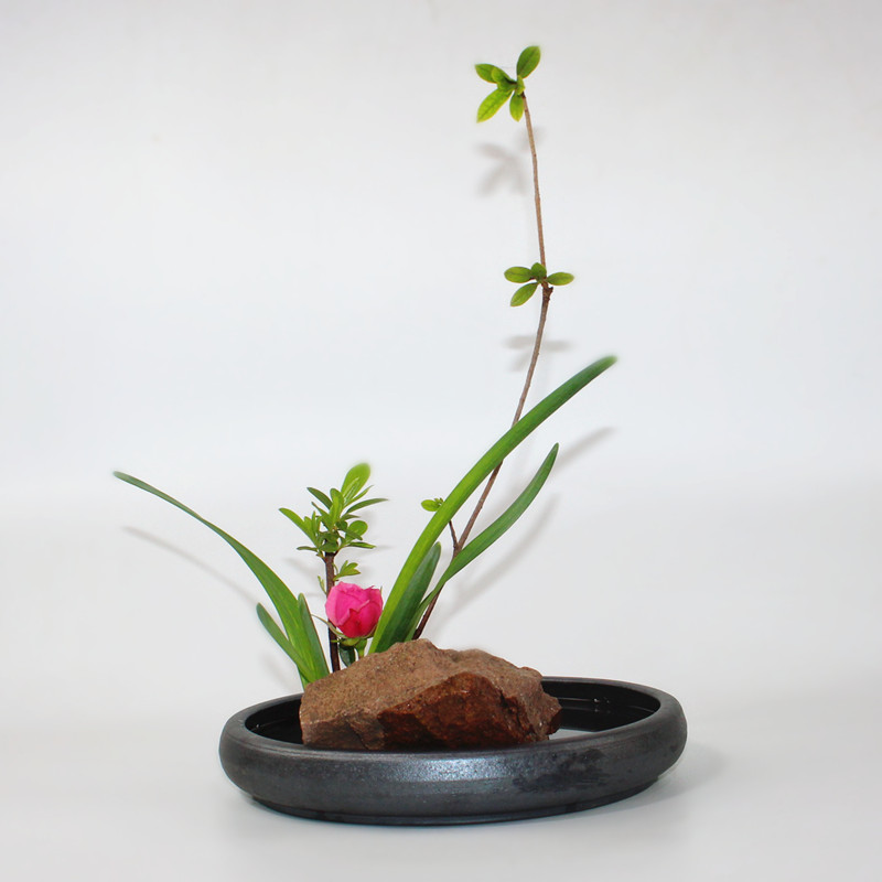 复古浅水盆 日式插花器 菖蒲/水仙盆  禅意装饰器皿 居家茶室花盆