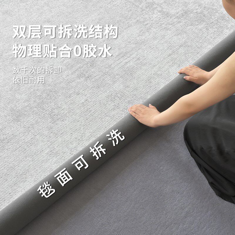 地毯客厅可机洗双层可拆洗2024新款轻奢高级感沙发茶几加厚地垫子