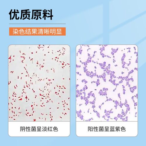 贝索BASO革兰氏染色液试剂显微镜生物脱色液结晶紫染液沙黄复染液
