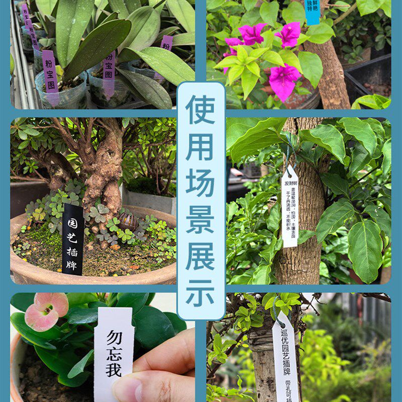 园艺标签植物插牌苗圃花卉吊牌打印树木标识牌防水记号卡塑料插排