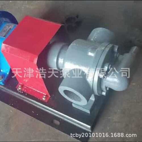 溢流内齿转子泵TDYN 柴油 机油 沥青 胶水 聚氨酯 稠油树脂转子泵