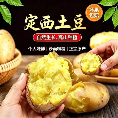 2026年甘肃土豆新鲜洋芋