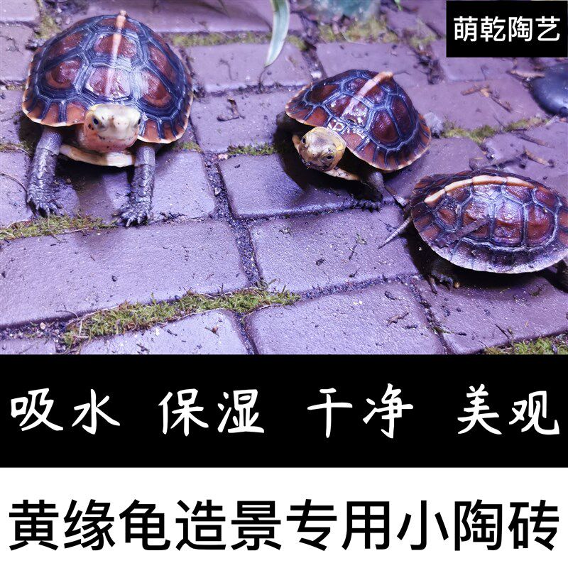 萌乾 黄缘龟专用小陶砖 吸水保湿 紫砂粗陶手工砖