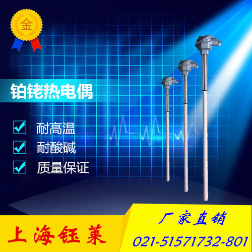 S型铂铑热电偶/WRP-130/耐高温铂铑热电偶/0-1600度/刚玉管热电偶