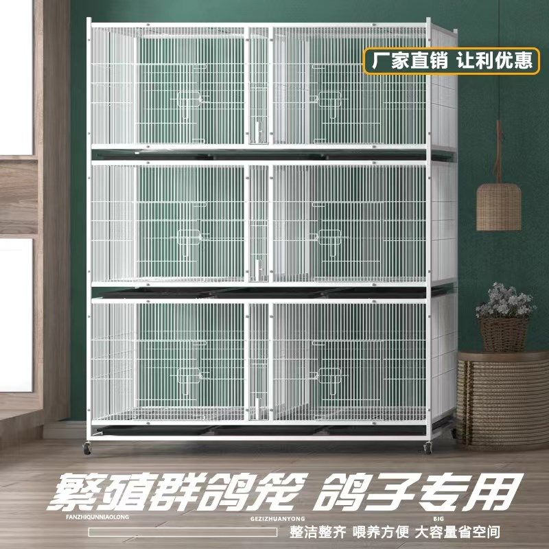 鸽子笼家用配对笼观赏鸽信鸽元宝鸽加大空间加密防黄鼠狼展示笼子