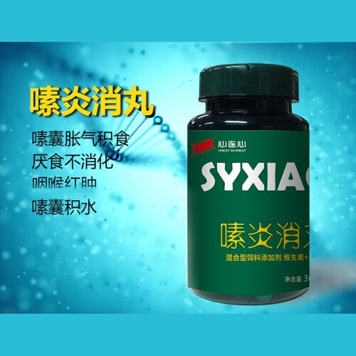 心连心鸽用嗉炎消丸鸽子胀嗉软嗉胀气粪便异常厌食吐食鸽子鸟用品