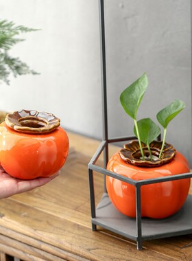 柿子水培缸绿萝水培容器创意花瓶插花瓶子桌面水养植物器皿花盆
