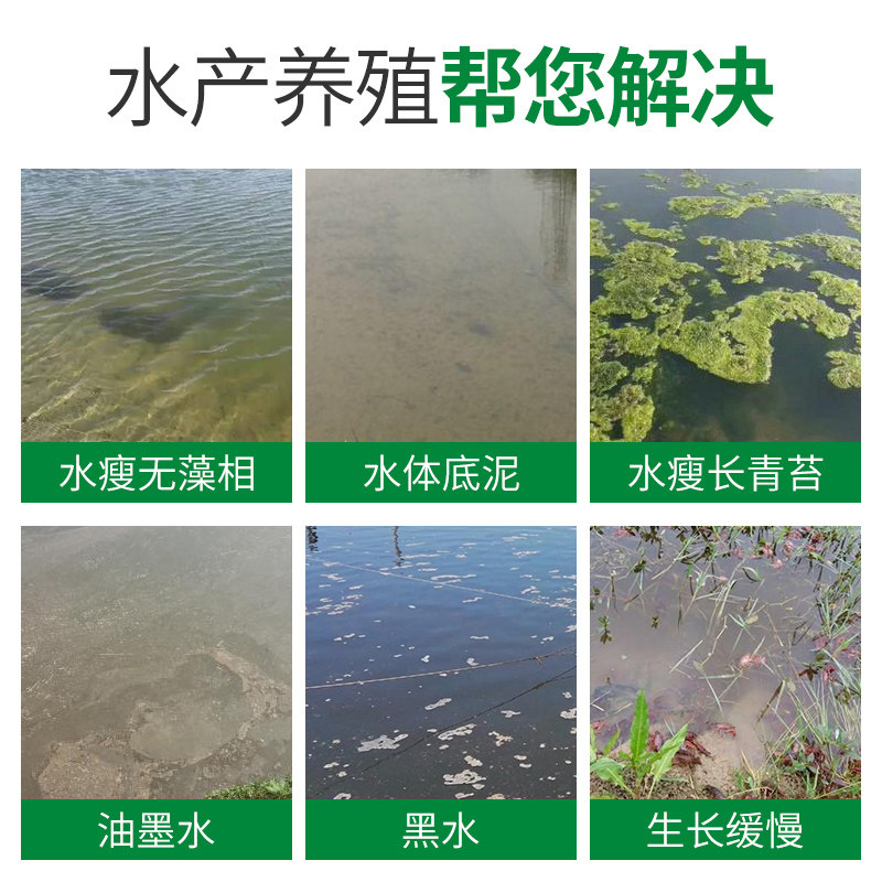 饲料肥酵母蛋白粉矽藻旺鱼虾蟹氨基酸肥水膏水产养殖生物用肥培藻