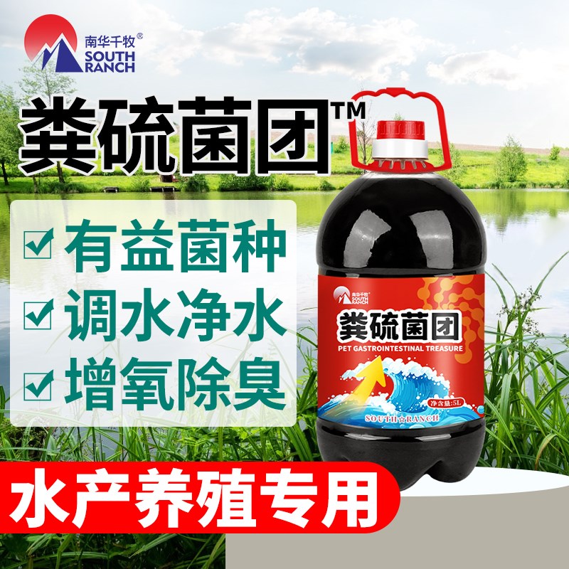粪硫菌团水产养殖小龙虾蟹鱼塘硫化氢调水净水黑泥底净臭粪肠球菌