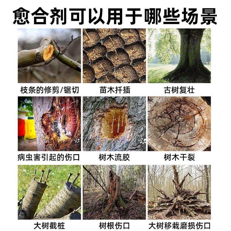 植物树木果树伤口愈合剂盆景树枝剪枝树桩树皮嫁接切口修复涂抹膏