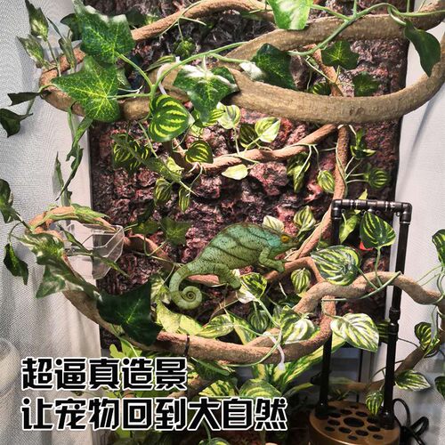 爬虫网箱铝合金变色龙饲养箱爬宠攀爬两栖宠物别墅套餐绿鬣高箱