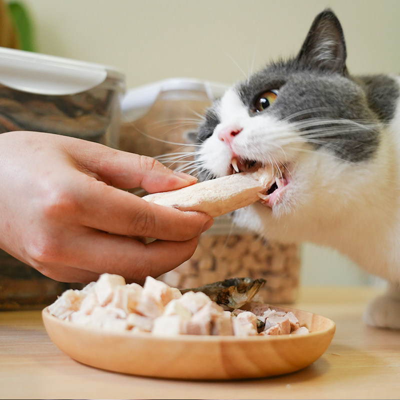 满满一桶 宠物冻干猫狗肉干鹌鹑鸡肉牛肉多春鱼猫粮伴侣猫咪零食