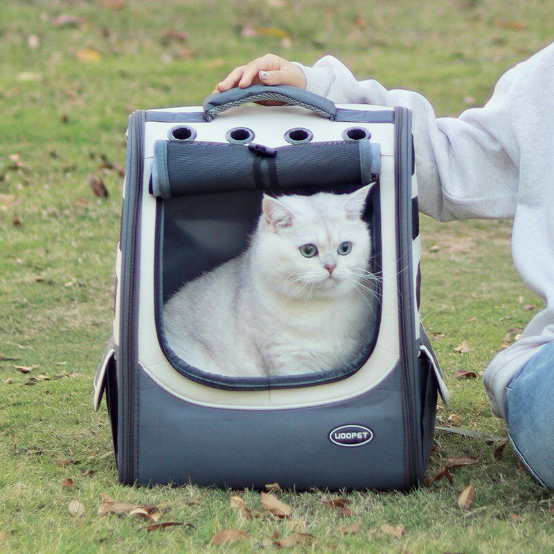 猫包双肩夏天透气外出便携猫背包宠物狗背包手提猫咪外出宠物背包