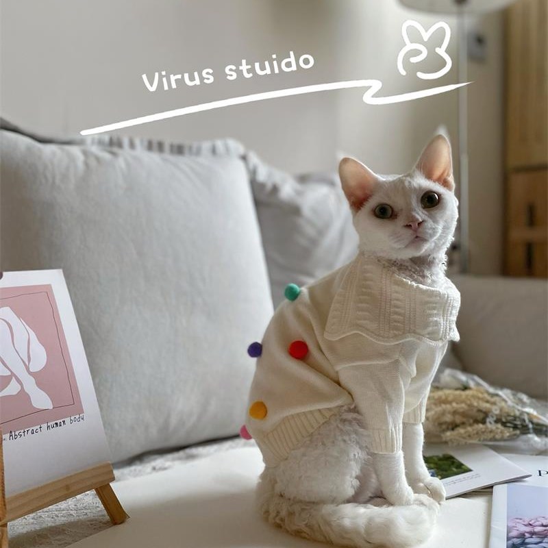 秋冬斯芬克斯无毛猫德文衣服阿比西尼亚猫可爱针织衫猫咪狗狗外套