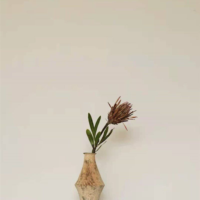 冇花  冯哲元 中腰菱器手作陶瓷侘寂花瓶日式粗陶花器客厅新中式