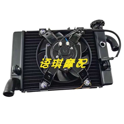 贝纳利黄龙蓝宝龙BN302S/BJ300GS-3/A/5A水箱总成冷却风扇散热器