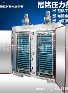 供应防干烧式鲅鱼蒸房 电气两用油菜蒸炉 电加热花朵馒头蒸柜