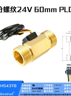 USC-HS43TB USC-HS43TI铜霍尔流量传感器6分外丝2-45L/min 流量计