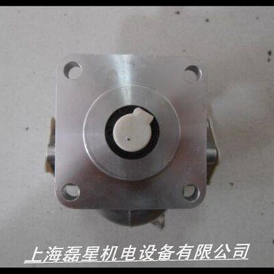 齿轮泵RGPV-2A-F06R  REXPOWER 长期供应