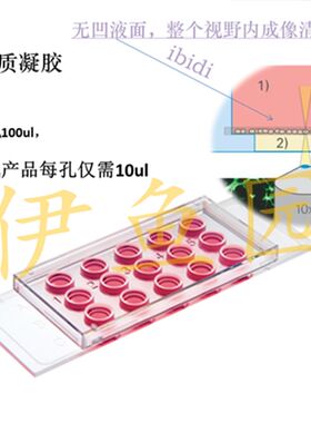 81506 血管生成载玻片   出芽实验 血管生成 成管 载波片