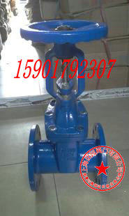 上海团园RRHX-16Q Z41X-16明杆软密封闸阀 明杆弹性座封闸阀DN200