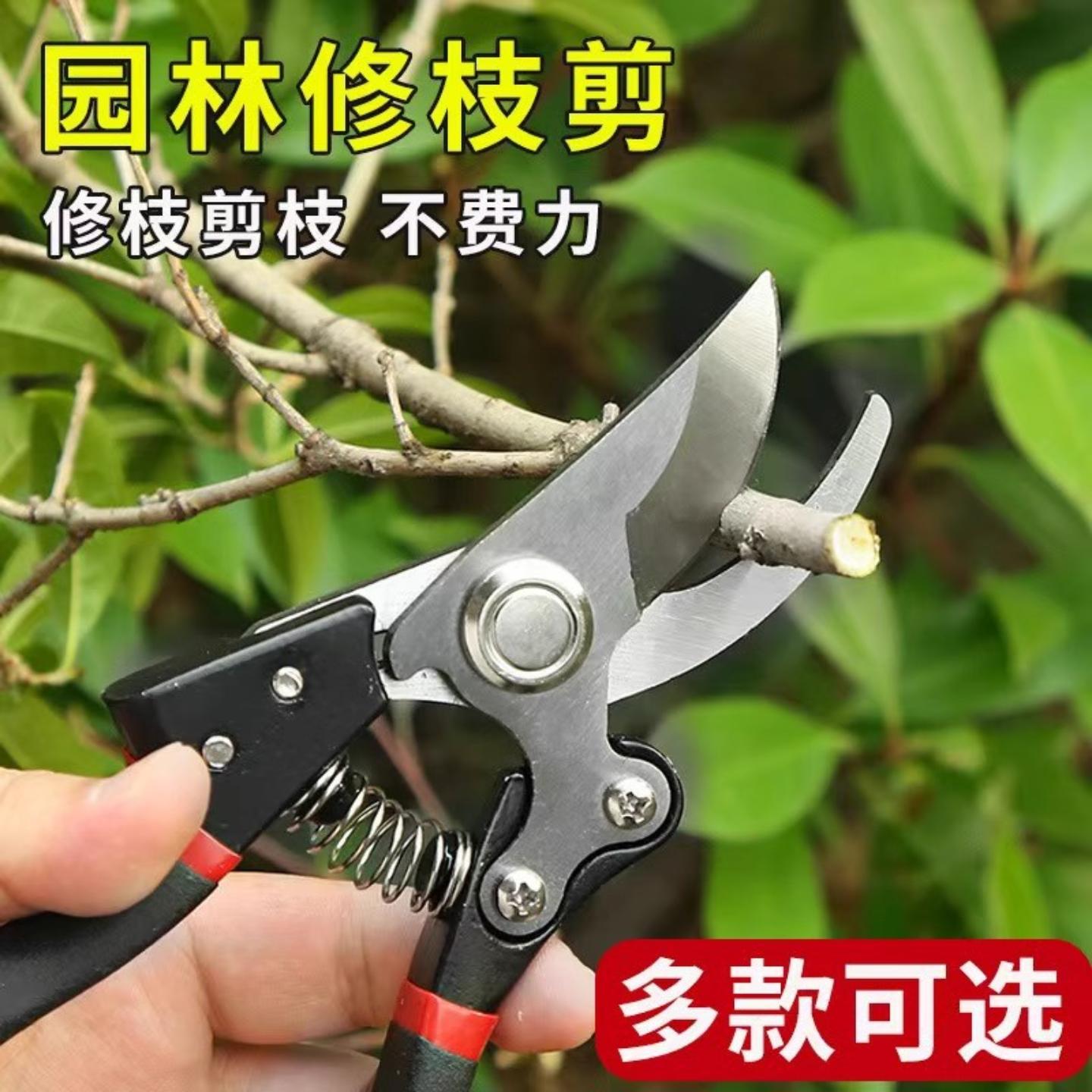 德式原装进口强力园艺修枝剪园林