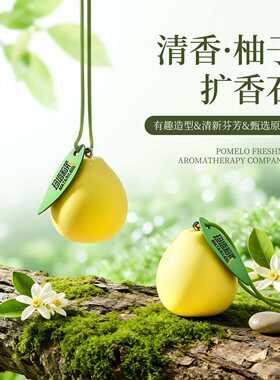 柚子扩香石挂件新款香薰卧室香挂