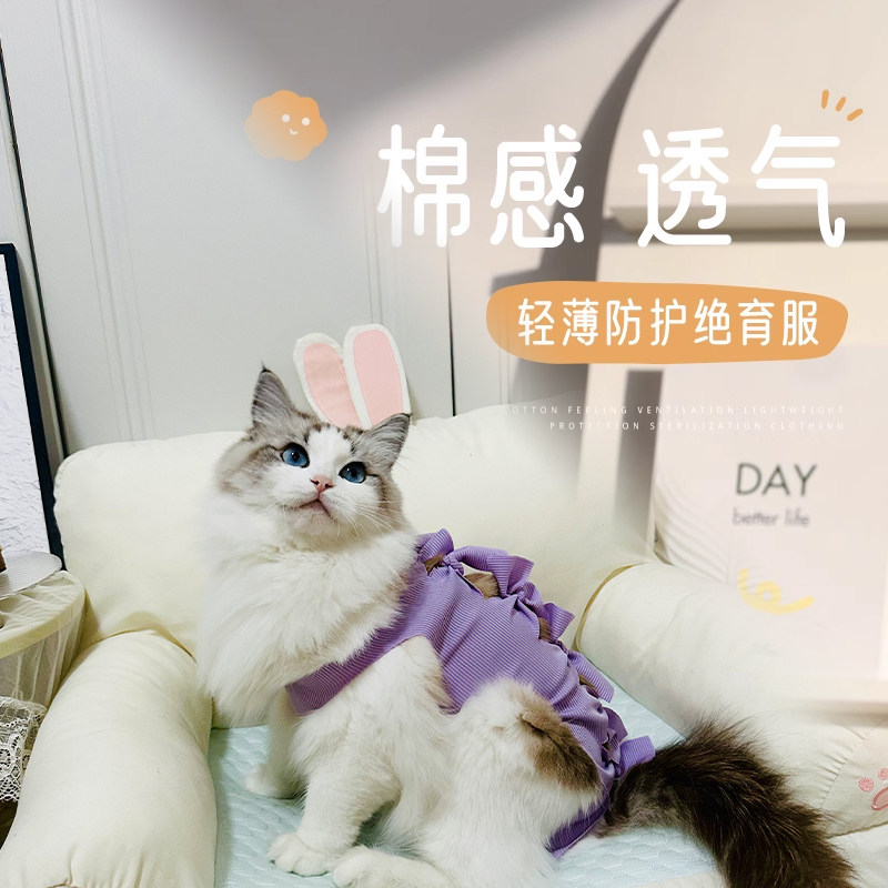 猫咪绝育服手术衣服猫猫断奶戒奶服防舔宠物公猫母猫绑带术后服装