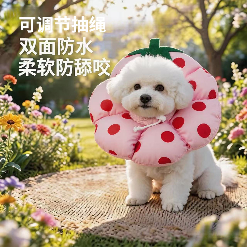 狗脖圈猫围脖伊丽莎白圈猫咪绝育软头套幼猫防舔防咬防水项圈宠物