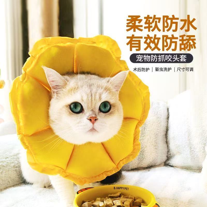 伊丽莎白圈猫项圈幼猫防舔防咬防水脖圈猫咪绝育小型犬保护软头套