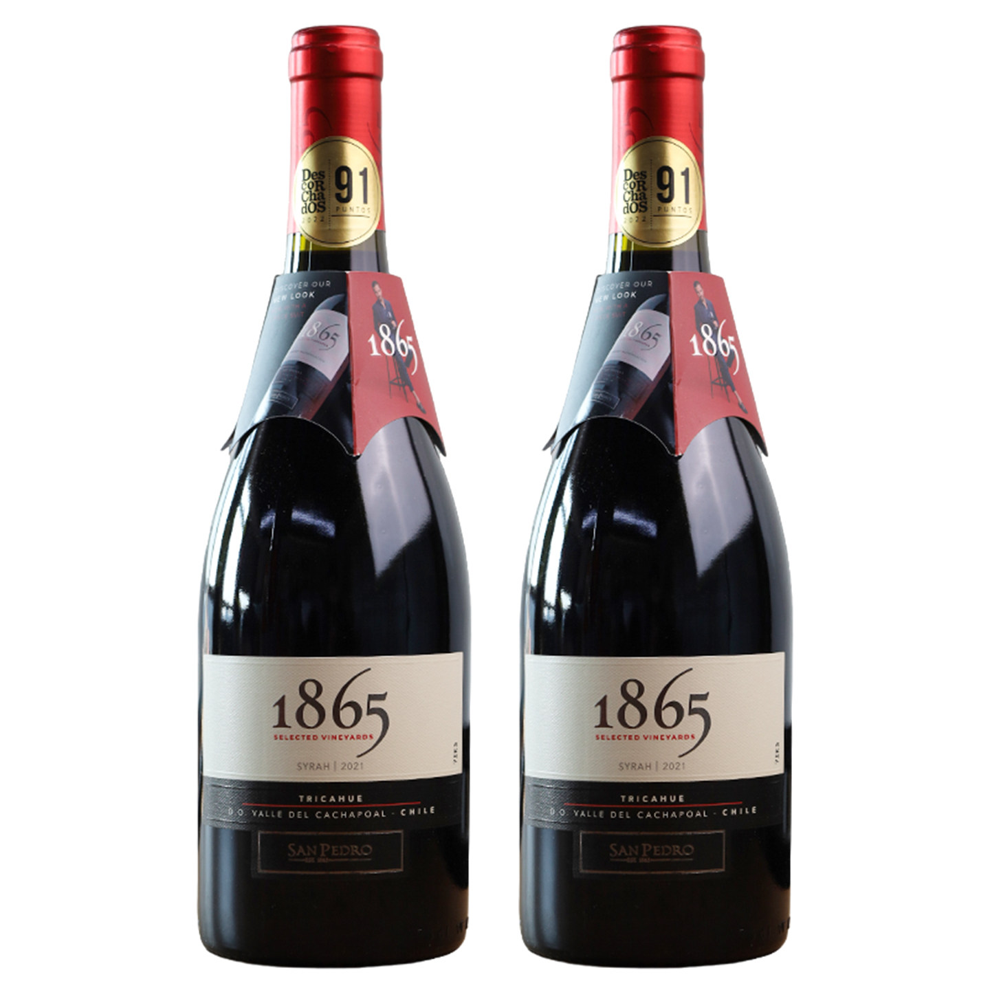 圣佩特罗1865智利原瓶进口红酒西拉干红葡萄酒750ml*2瓶装正品