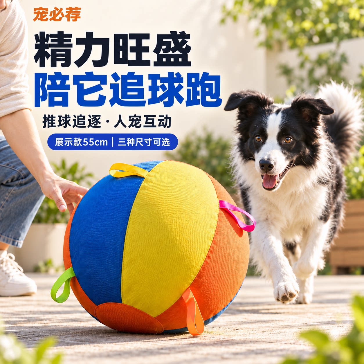 宠必荐狗狗大球玩具解闷