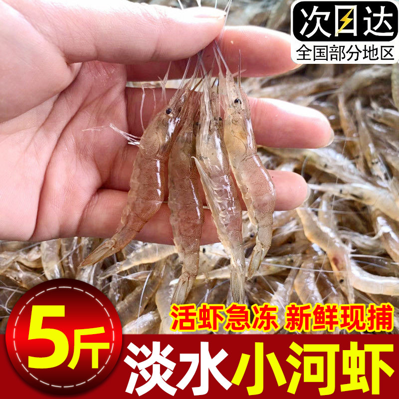 小河虾草虾鲜活新鲜冷冻海鲜水产活虾急冻狗仔虾青虾小草虾醉虾
